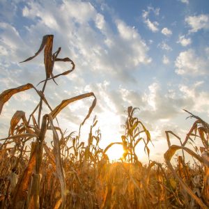 Mudança climática vai aumentar incidência solar no Brasil